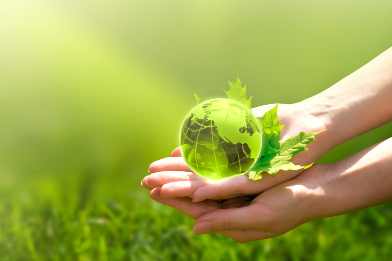 Our Environment- Our ‘Common’ Future